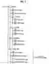 Fig. 09 - Recording medium having a data structure for backing up management files and recording and reproducing methods and apparatuses