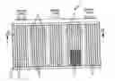 Fig. 01 - Heat exchanger provided for heating purposes and comprising an electric heating device