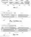 Fig. 20 - Method and architecture for optical networking between server and storage area networks