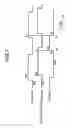Fig. 04 - Image forming apparatus