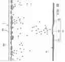 Fig. 22 - Developing apparatus, developing method, image forming apparatus, image forming method and cartridge thereof