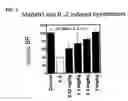 Fig. 02 - Compositions and methods for enhancing cytokine activity and treating hypotension associated with the administration of cytokines