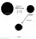 Fig. 15 - Methods and compositions for the production of monoclonal antibodies