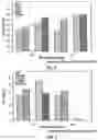Fig. 04 - Formulation of adenovirus for gene therapy