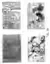 Fig. 08 - Formulation of adenovirus for gene therapy