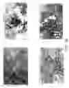 Fig. 09 - Formulation of adenovirus for gene therapy