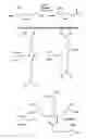 Fig. 02 - Wound healing compositions and methods using tropoelastin and lysyl oxidase
