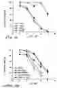 Fig. 02 - Screening methods using a novel human EP prostaglandin receptor
