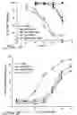 Fig. 03 - Screening methods using a novel human EP prostaglandin receptor
