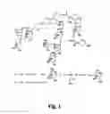 Fig. 02 - Saponins as anticancer agent