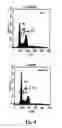 Fig. 08 - Saponins as anticancer agent