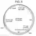 Fig. 16 - HIV pharmaccines