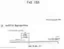 Fig. 44 - HIV pharmaccines