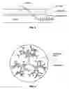 Fig. 03 - Highly lubricious hydrophilic coating utilizing dendrimers