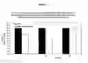 Fig. 12 - Polyethyleneglycol-modified lipid compounds and uses thereof