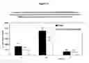 Fig. 13 - Polyethyleneglycol-modified lipid compounds and uses thereof