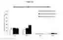 Fig. 16 - Polyethyleneglycol-modified lipid compounds and uses thereof