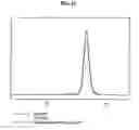Fig. 16 - Substained release formulation of protein and preparation method thereof