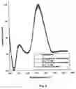 Fig. 05 - Drug delivery systems and use thereof