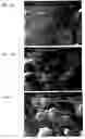Fig. 08 - Drug delivery systems and use thereof