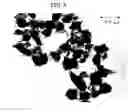 Fig. 04 - Photoconductor, image forming apparatus, image forming process, and process cartridge