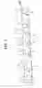 Fig. 06 - Method of determining the selection of brackets which are to be used in the orthodontic treatment of teeth malposition