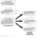 Fig. 01 - Accessibility of testing within a validity framework