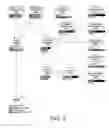 Fig. 04 - Accessibility of testing within a validity framework