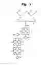 Fig. 11 - Molecular device, molecule array, rectifier device, rectifying method, sensor device, switching device, circuit device, logical circuit device, operational device and information processing device