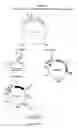 Fig. 06 - Human monoclonal antibody