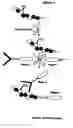 Fig. 02 - Multiple virus reaction assay