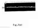 Fig. 04 - Method and detector for identifying subtypes of human papilloma viruses