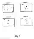 Fig. 09 - Method and detector for identifying subtypes of human papilloma viruses