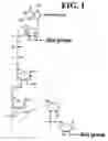 Fig. 02 - Method for making full-length coding sequence cDNA libraries