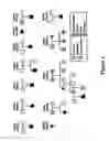 Fig. 05 - Methods for assessing risk for cardiac dysrythmia in a human subject