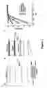 Fig. 08 - Methods for assessing risk for cardiac dysrythmia in a human subject