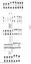 Fig. 02 - Method of uniformizing dna fragment contents and subtraction method