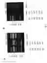 Fig. 03 - Method of uniformizing dna fragment contents and subtraction method