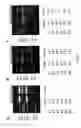Fig. 04 - Method of uniformizing dna fragment contents and subtraction method