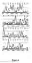 Fig. 05 - Discriminative analysis of clone signature