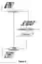 Fig. 08 - Discriminative analysis of clone signature