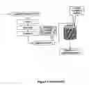 Fig. 09 - Discriminative analysis of clone signature