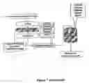 Fig. 11 - Discriminative analysis of clone signature