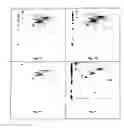 Fig. 03 - Differential indication of labeled molecules