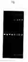 Fig. 02 - β-catenin oligonucleotide microchip and method for detecting β-catenin mutations employing same