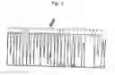 Fig. 03 - β-catenin oligonucleotide microchip and method for detecting β-catenin mutations employing same