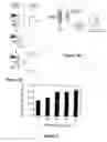 Fig. 03 - Bioreactive allosteric polynucleotides