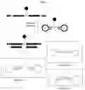 Fig. 04 - Self-hybridizing multiple target nucleic acid probes and methods of use