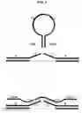 Fig. 06 - Self-hybridizing multiple target nucleic acid probes and methods of use
