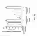 Fig. 13 - Regulated nucleic acids in pathogenesis of Alzheimer's Disease